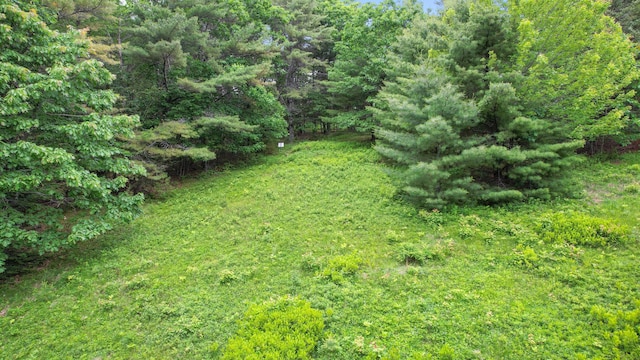 00 Front Ridge Rd, Orland, ME 04472 - photo 3