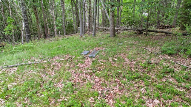 00 Front Ridge Rd, Orland, ME 04472 - photo 16