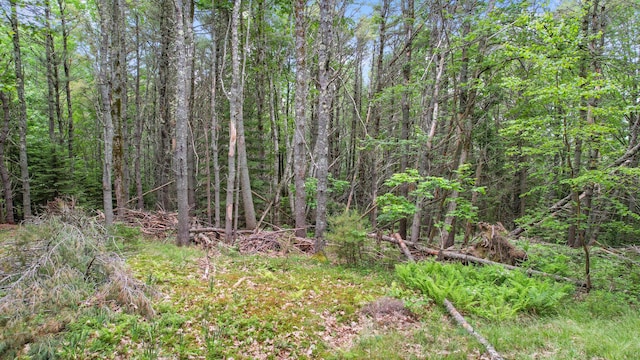00 Front Ridge Rd, Orland, ME 04472 - photo 10