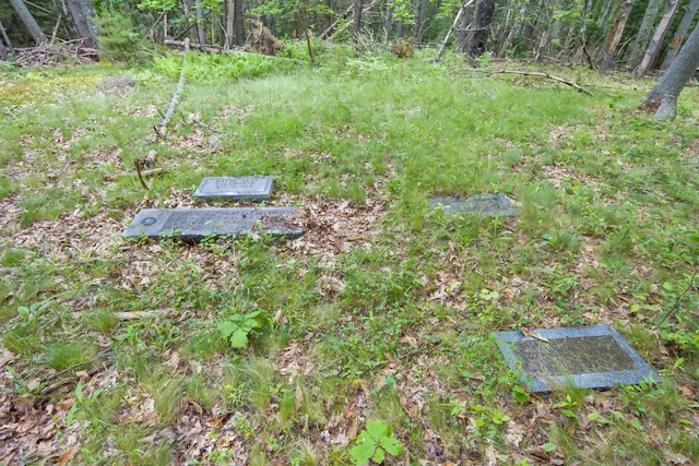 00 Front Ridge Rd, Orland, ME 04472 - photo 18