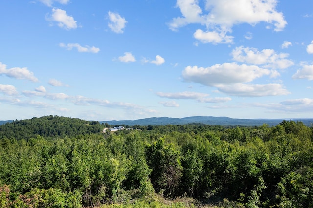 14 Hunter Dr, Cornish, ME 04020 - photo 3