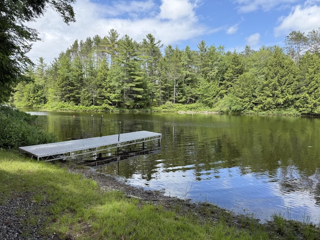 628 Springy Pond Rd, Otis, ME 04605 - dock with a water view and a view of trees