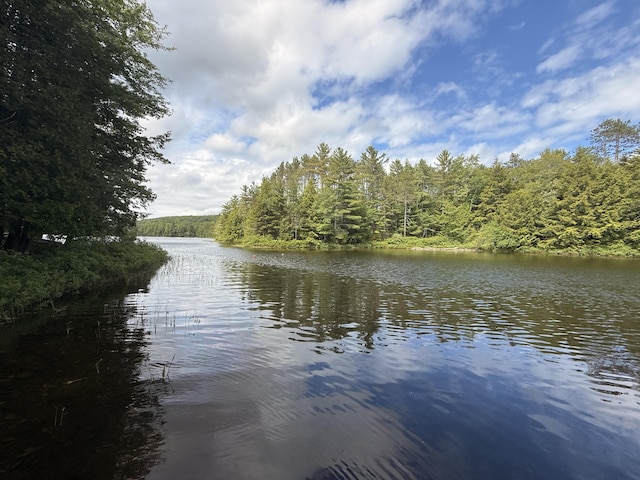 628 Springy Pond Rd, Otis, ME 04605 - water view with a heavily wooded area