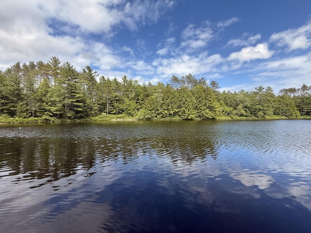 628 Springy Pond Rd, Otis, ME 04605 - water view with a heavily wooded area