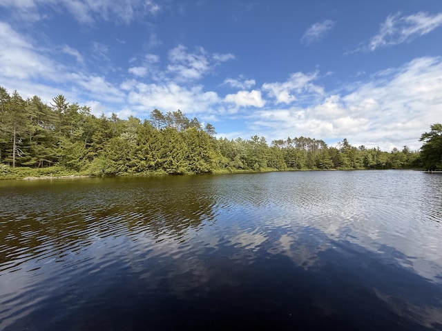 628 Springy Pond Rd, Otis, ME 04605 - water view featuring a heavily wooded area