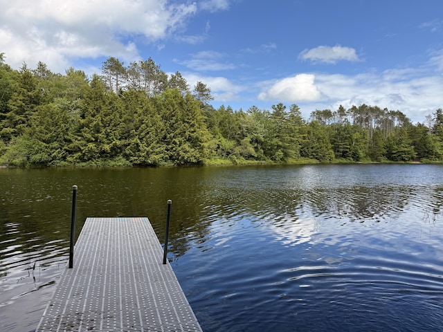 628 Springy Pond Rd, Otis, ME 04605 - dock area with a water view and a forest view