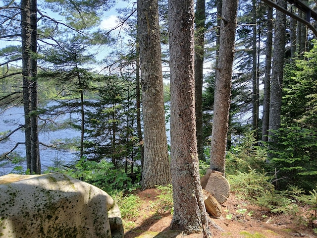 LOT16.2 Lane Pond Rd, Carrying Place Town Twp, ME 04961 - photo 30