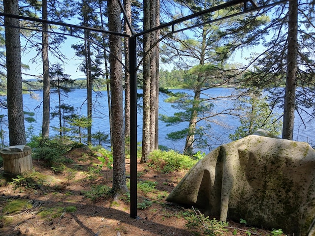 LOT16.2 Lane Pond Rd, Carrying Place Town Twp, ME 04961 - photo 1