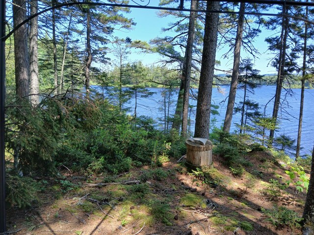 LOT16.2 Lane Pond Rd, Carrying Place Town Twp, ME 04961 - photo 27