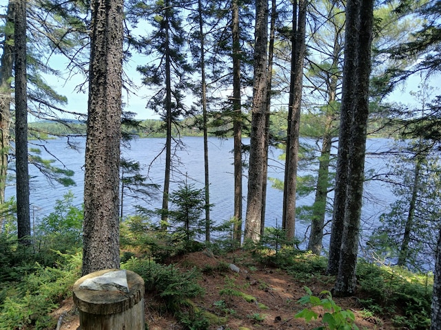 LOT16.2 Lane Pond Rd, Carrying Place Town Twp, ME 04961 - photo 2