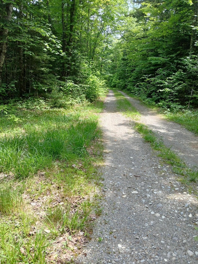 LOT16.2 Lane Pond Rd, Carrying Place Town Twp, ME 04961 - photo 31