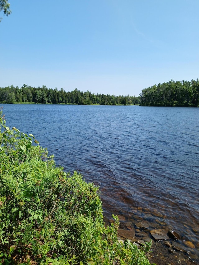 LOT16.2 Lane Pond Rd, Carrying Place Town Twp, ME 04961 - photo 3