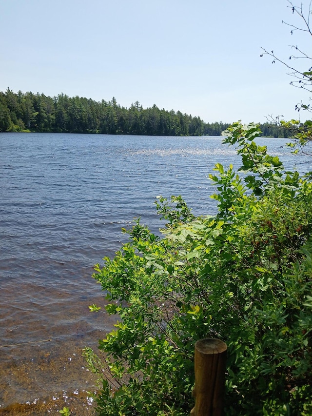 LOT16.2 Lane Pond Rd, Carrying Place Town Twp, ME 04961 - photo 4