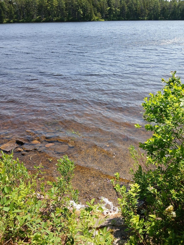 LOT16.2 Lane Pond Rd, Carrying Place Town Twp, ME 04961 - photo 5