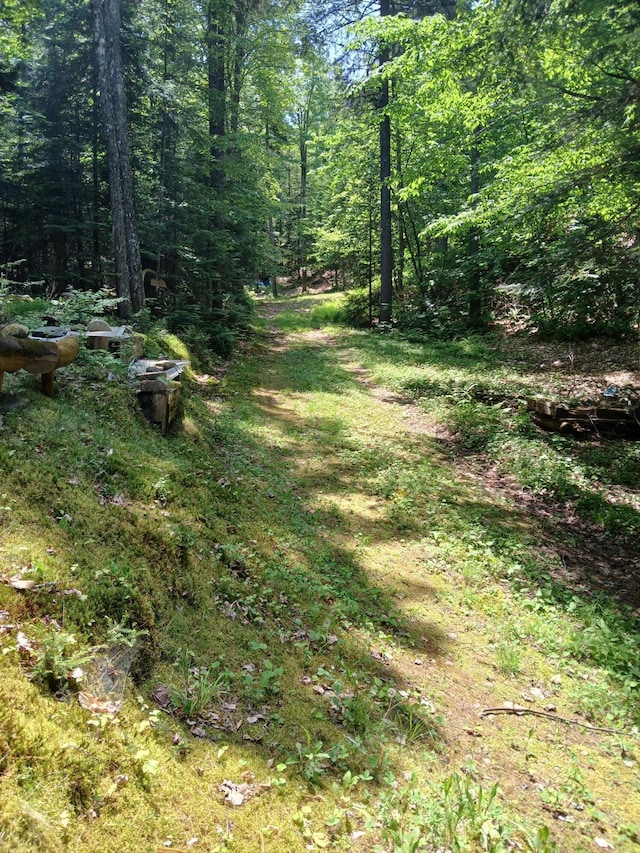 LOT16.2 Lane Pond Rd, Carrying Place Town Twp, ME 04961 - photo 7