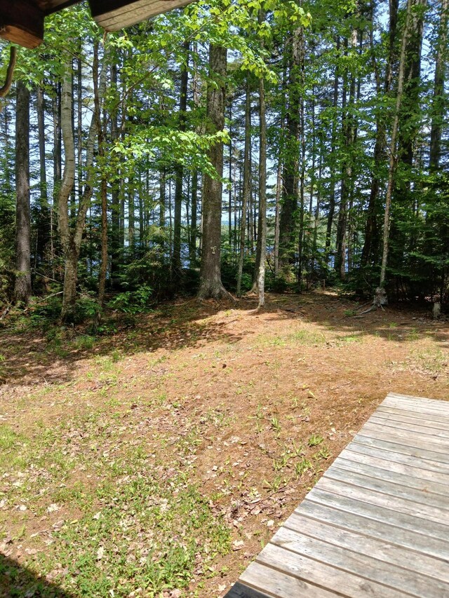 LOT16.2 Lane Pond Rd, Carrying Place Town Twp, ME 04961 - photo 29