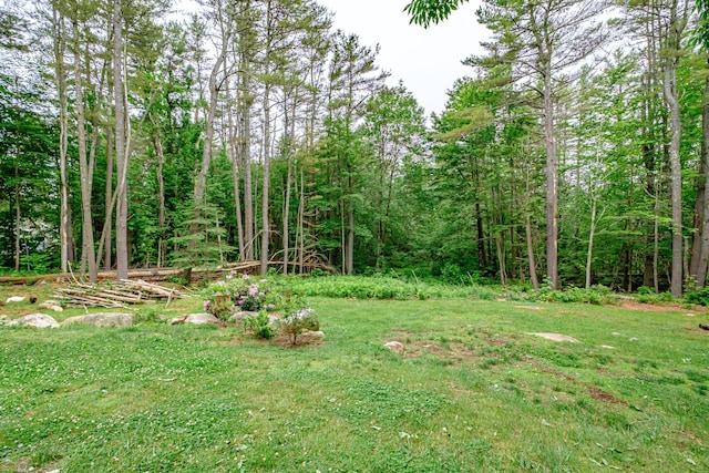 860 Gardiner Rd, Wiscasset, ME 04578 - view of grassy yard with a view of trees