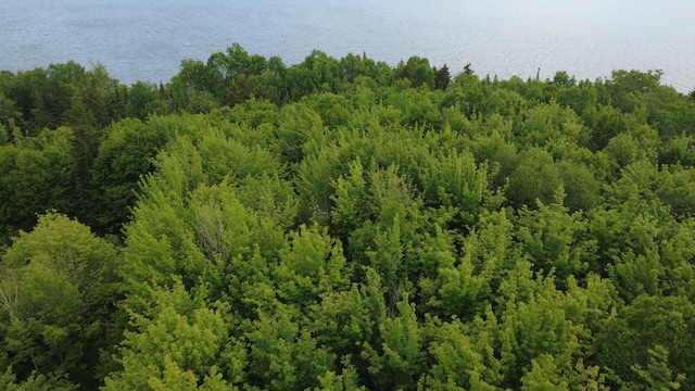 LOT4 W Pine Rd, Frenchtown Twp, ME 04441