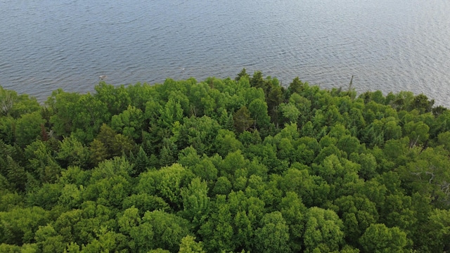 LOT4 W Pine Rd, Frenchtown Twp, ME 04441
