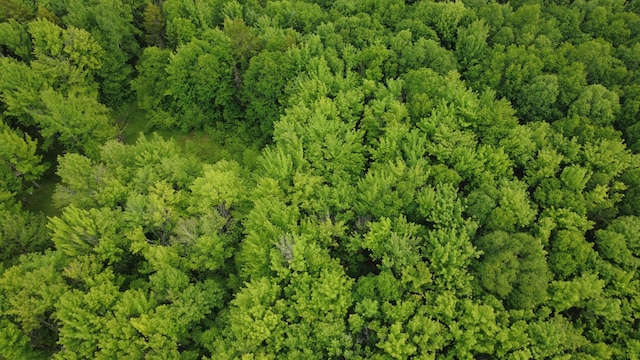 LOT4 W Pine Rd, Frenchtown Twp, ME 04441