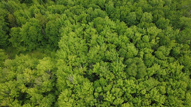 LOT4 W Pine Rd, Frenchtown Twp, ME 04441