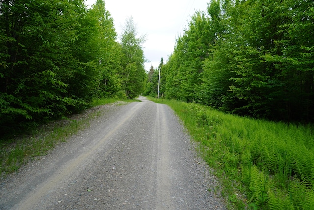 LOT4 W Pine Rd, Frenchtown Twp, ME 04441