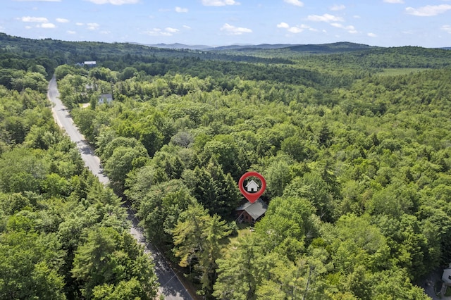31 Convene Rd, Sebago, ME 04029 - drone / aerial view of a heavily wooded area and a mountain backdrop