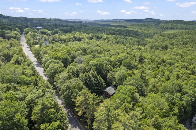 31 Convene Rd, Sebago, ME 04029 - drone / aerial view of a heavily wooded area and mountains