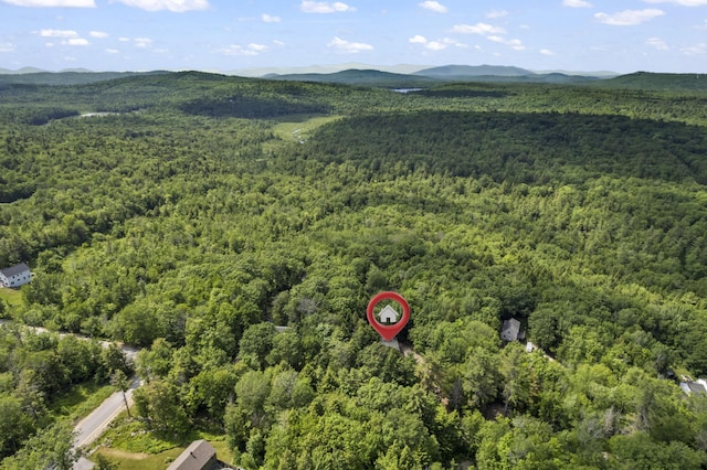 31 Convene Rd, Sebago, ME 04029 - aerial view of property and surrounding area with a forest and a mountain backdrop