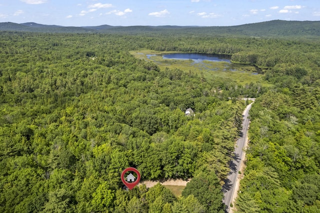 31 Convene Rd, Sebago, ME 04029 - aerial view of property's location featuring a heavily wooded area and a water and mountain view