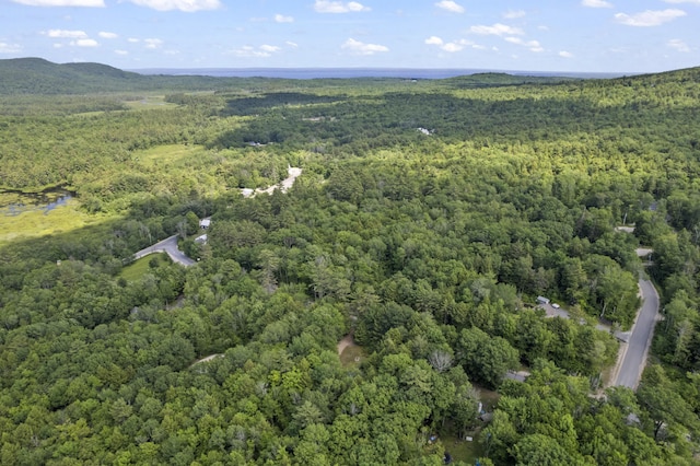 31 Convene Rd, Sebago, ME 04029 - view of property location featuring a forest