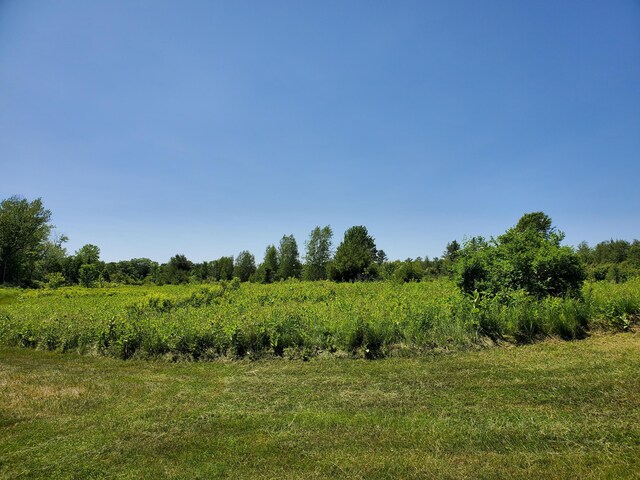 LOT12-7 Emery Farm Rd, Medford, ME 04463 - photo 5