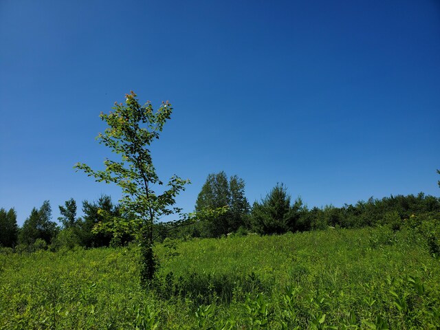 LOT12-7 Emery Farm Rd, Medford, ME 04463 - photo 8