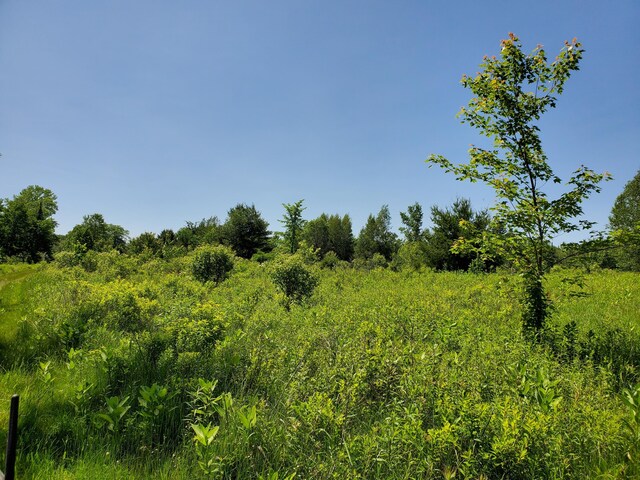 LOT12-7 Emery Farm Rd, Medford, ME 04463 - photo 9