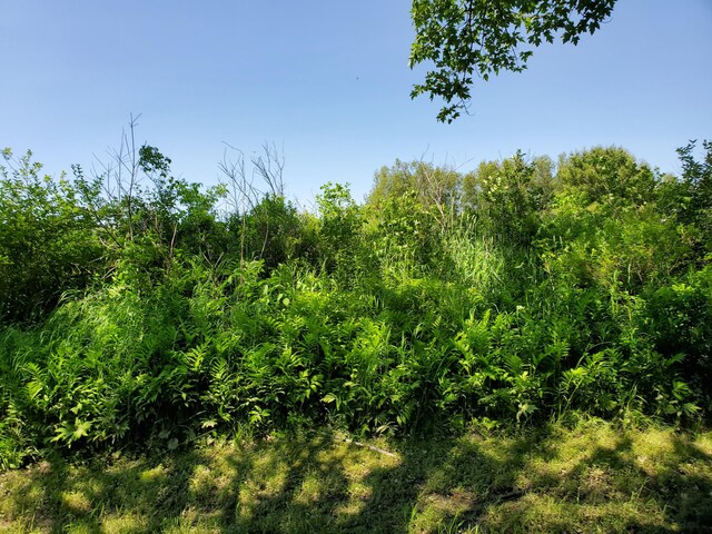 LOT12-7 Emery Farm Rd, Medford, ME 04463 - photo 11