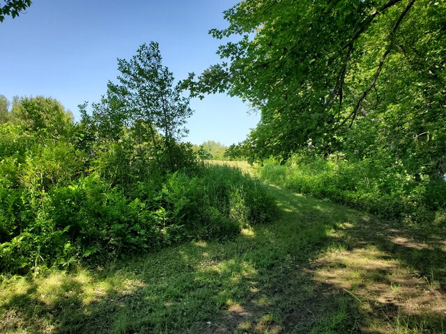 LOT12-7 Emery Farm Rd, Medford, ME 04463 - photo 12