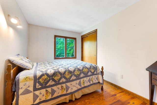 106 Bowdoinham Rd, Sabattus, ME 04280 - bedroom with wood finished floors and a closet