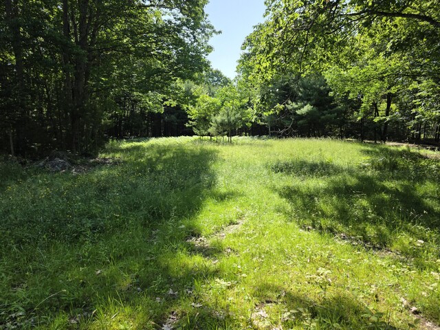 54 Gross Point Rd, Orland, ME 04472 - photo 8