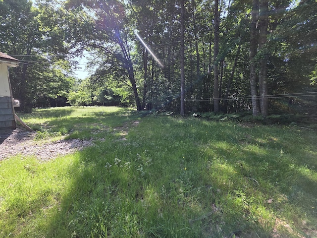 54 Gross Point Rd, Orland, ME 04472 - photo 11