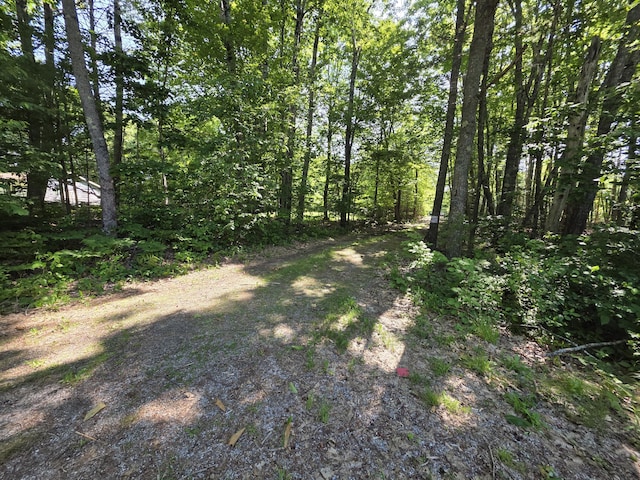 54 Gross Point Rd, Orland, ME 04472 - photo 14