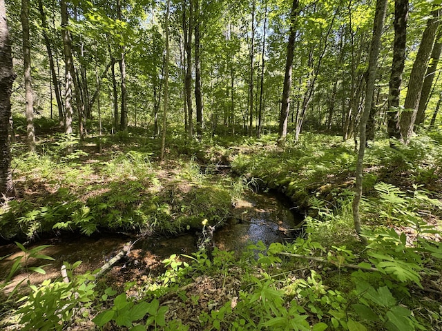00 Main St, Lovell, ME 04051 - photo 15