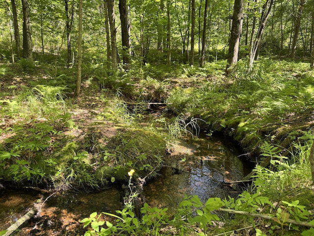 00 Main St, Lovell, ME 04051 - photo 16