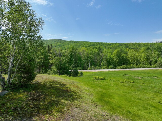 LOT18-1 Isthmus Rd, Rumford, ME 04276