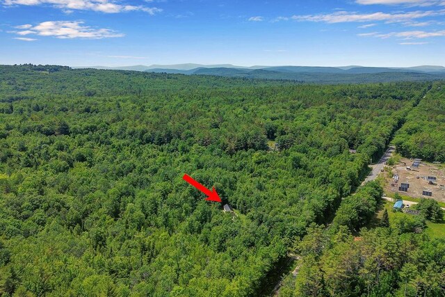 403 Bolsters Mills Rd, Harrison, ME 04040 - photo 40