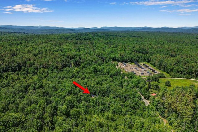 403 Bolsters Mills Rd, Harrison, ME 04040 - photo 41