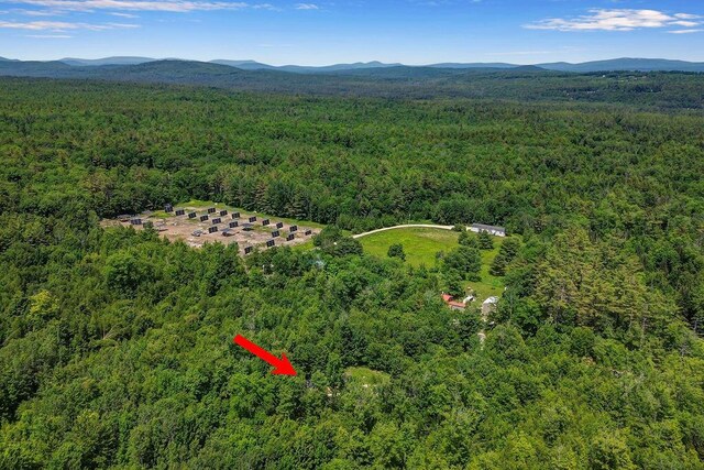 403 Bolsters Mills Rd, Harrison, ME 04040 - photo 42