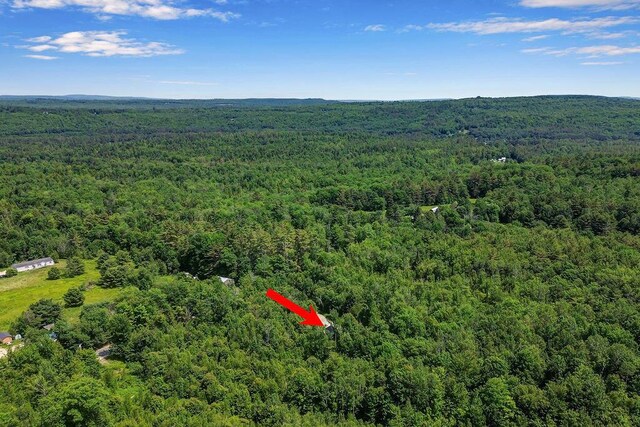 403 Bolsters Mills Rd, Harrison, ME 04040 - photo 43
