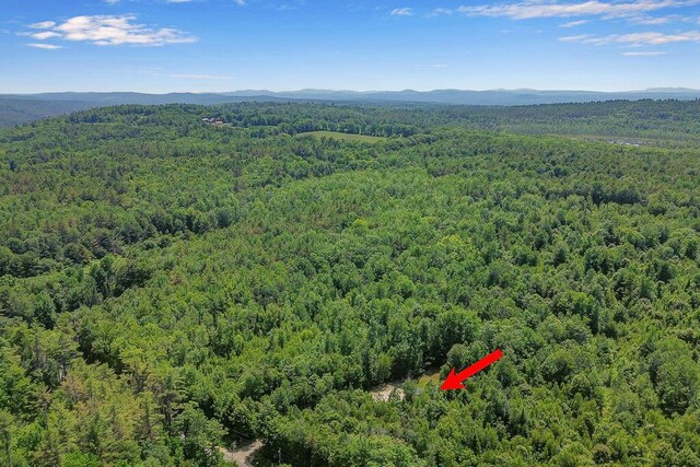 403 Bolsters Mills Rd, Harrison, ME 04040 - photo 44