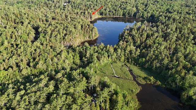 0 Red Spruce Way, Mount Desert, ME 04660 - photo 3