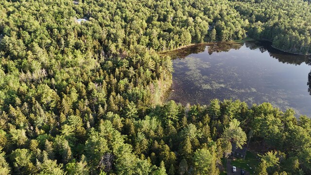 0 Red Spruce Way, Mount Desert, ME 04660 - photo 6